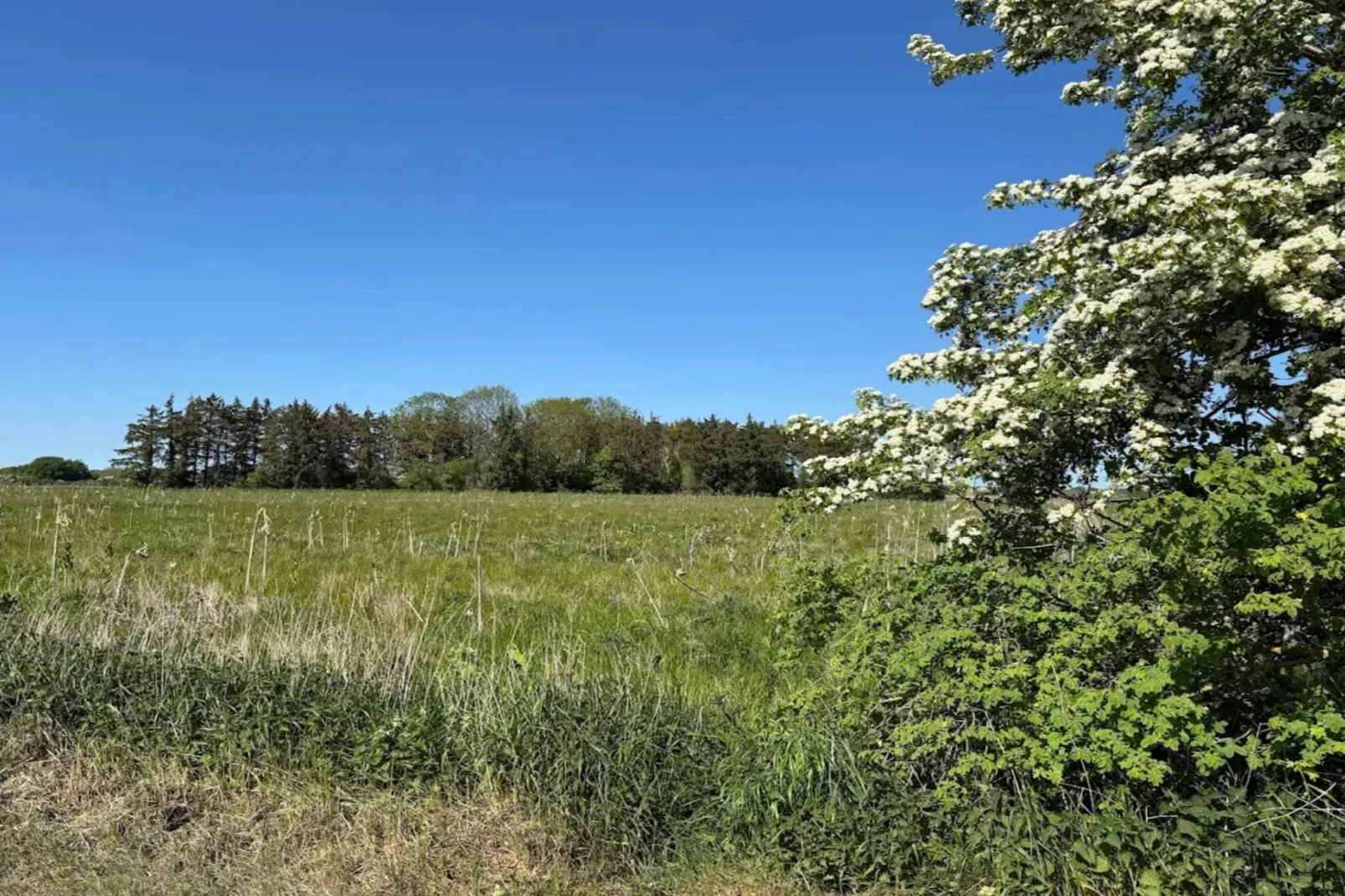 8 persoons vakantie huis in Sydals-Niet-getagd