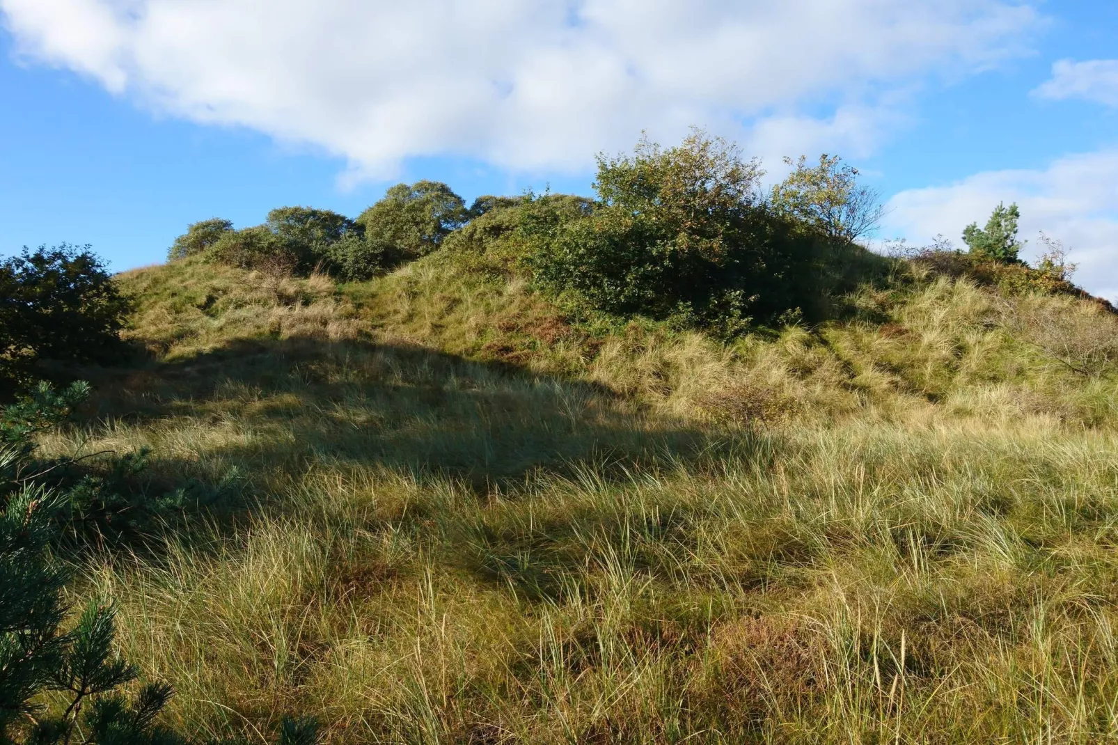 Rustiek rietgedekt huis op Romo-By Traum-Niet-getagd