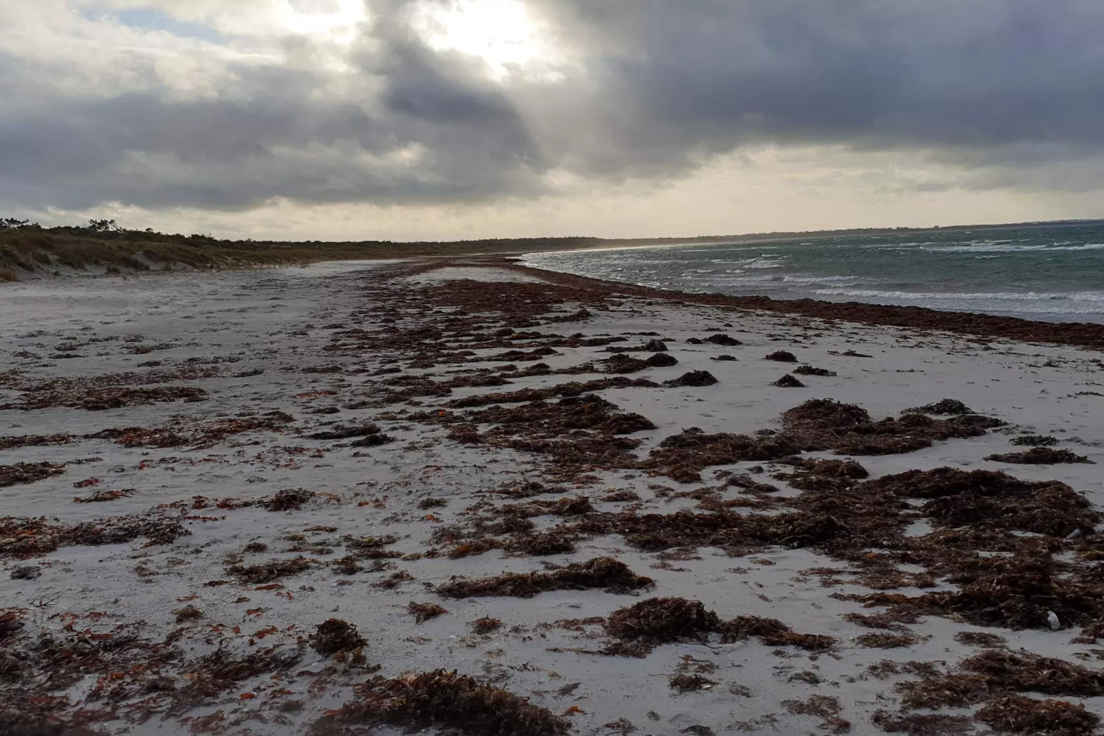 Gezellig toevluchtsoord in Rorvig Haven-By Traum-Waterzicht
