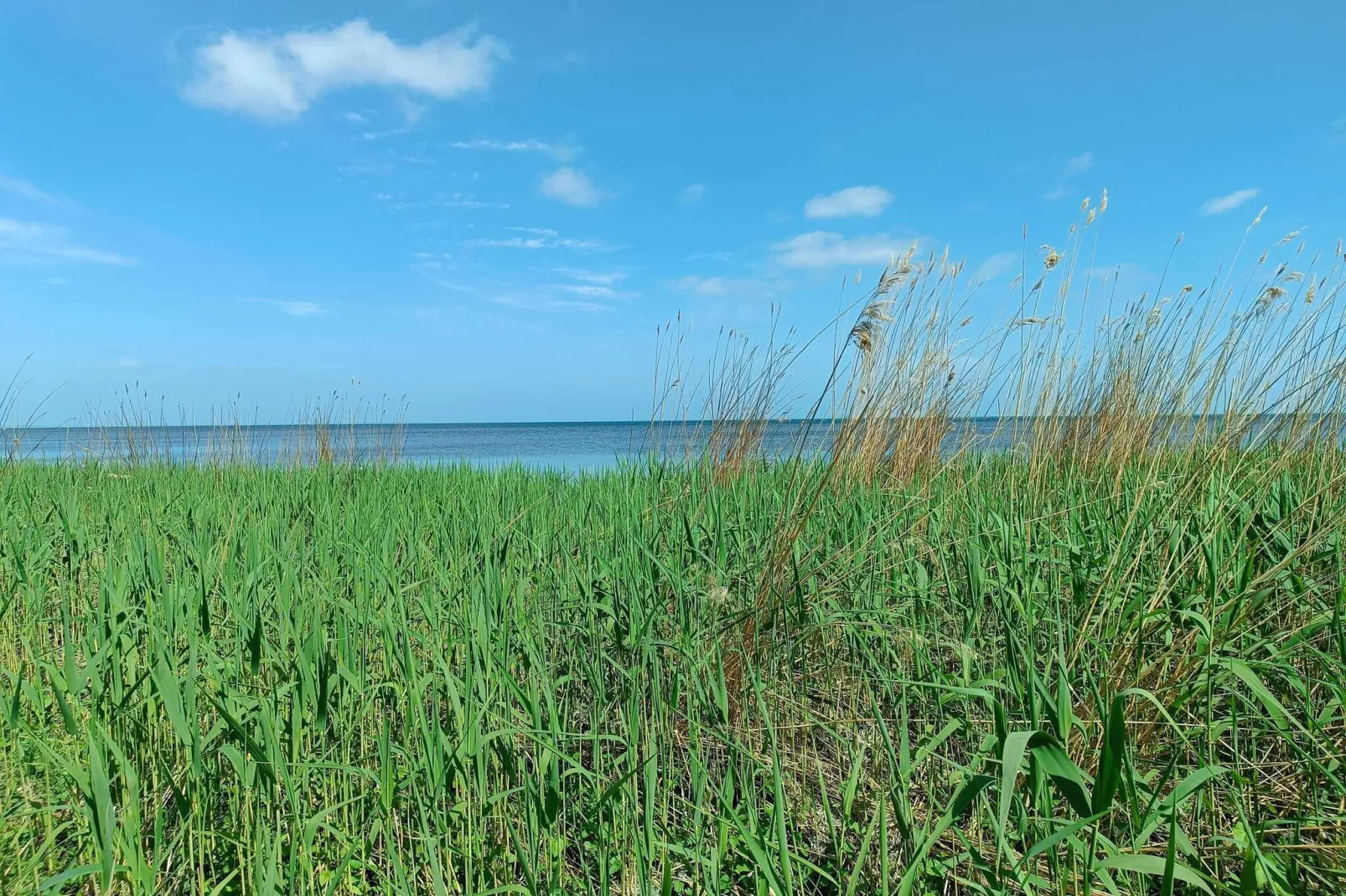 Kustcharme in Boged-By Traum-Waterzicht