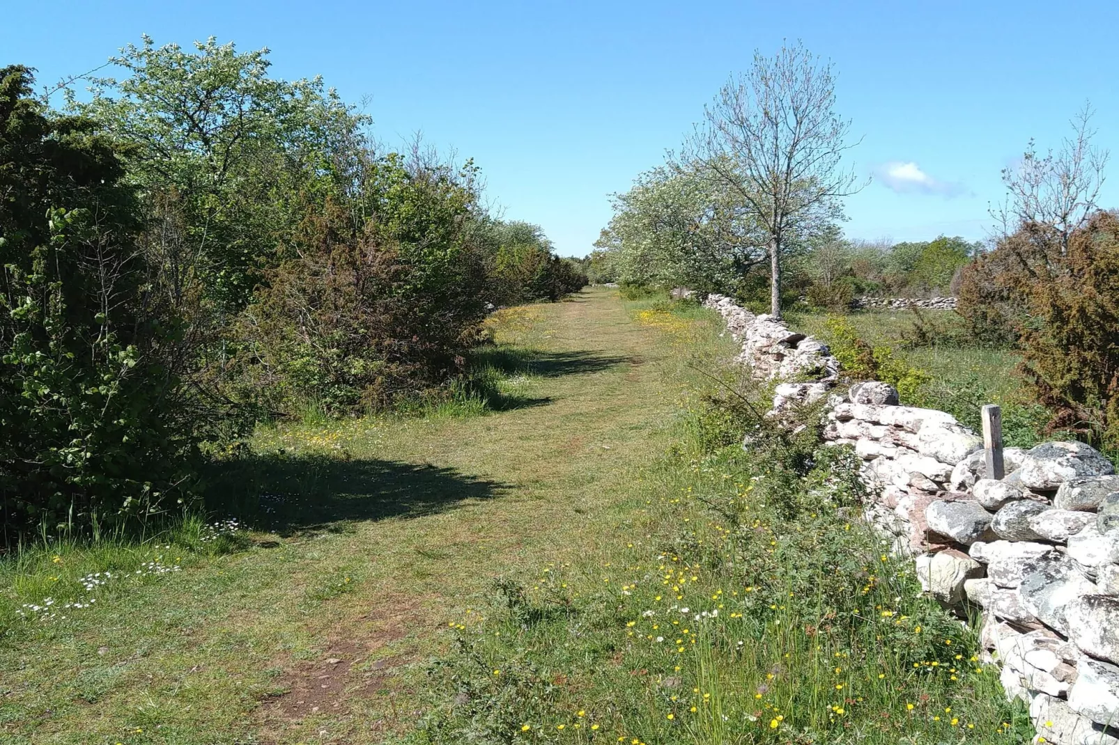 10 persoons vakantie huis in FÄRJESTADEN-Niet-getagd