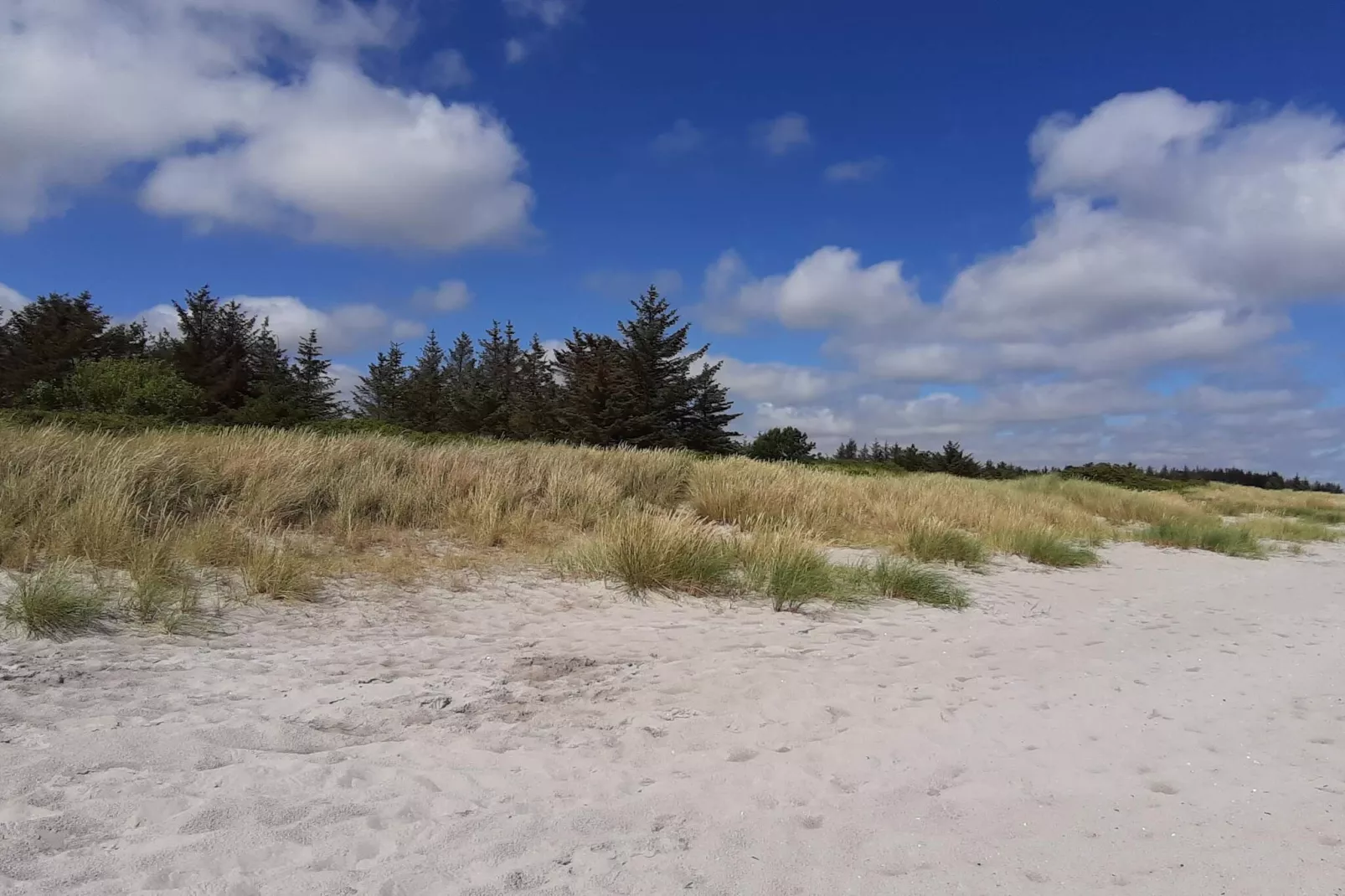 4 persoons vakantie huis in Hals-Niet-getagd