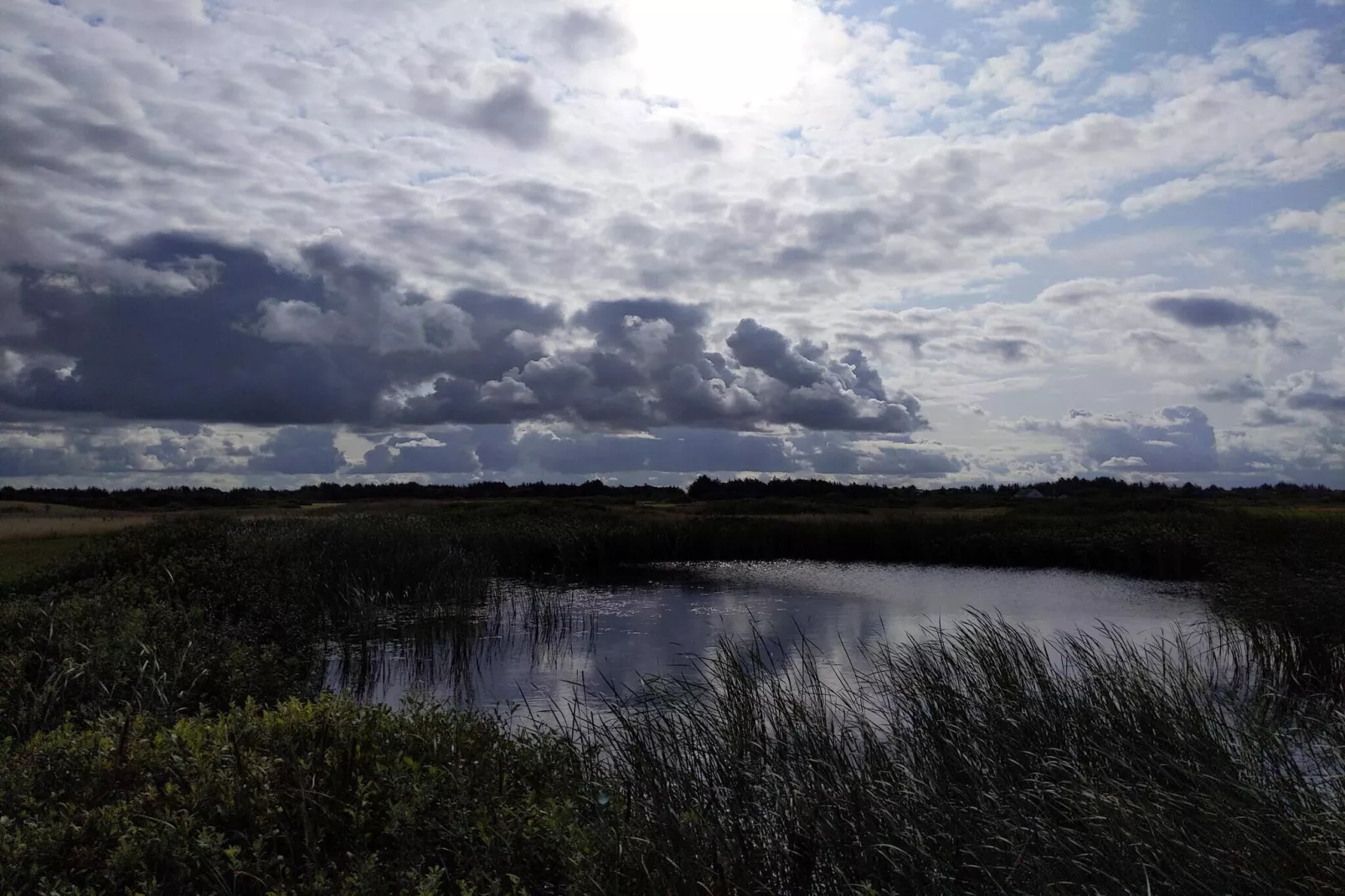 6 persoons vakantie huis in Ringkøbing-Waterzicht