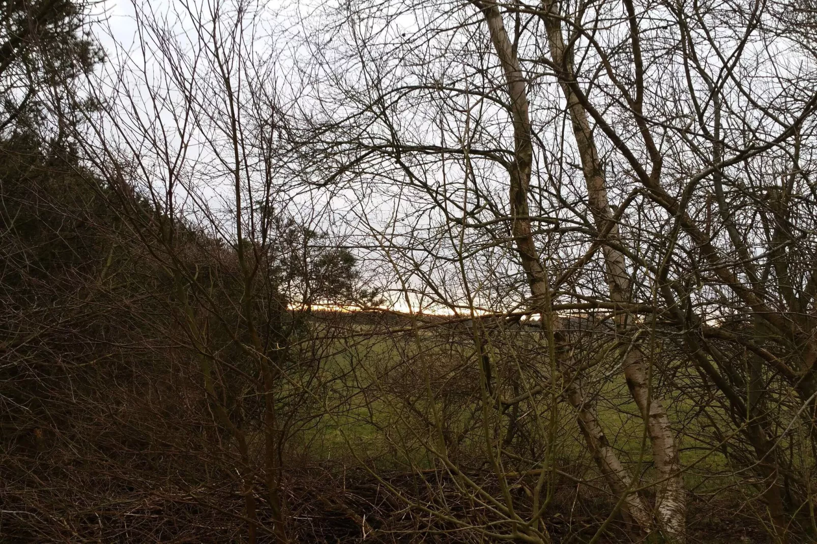 4 persoons vakantie huis in Nørre Nebel-Niet-getagd