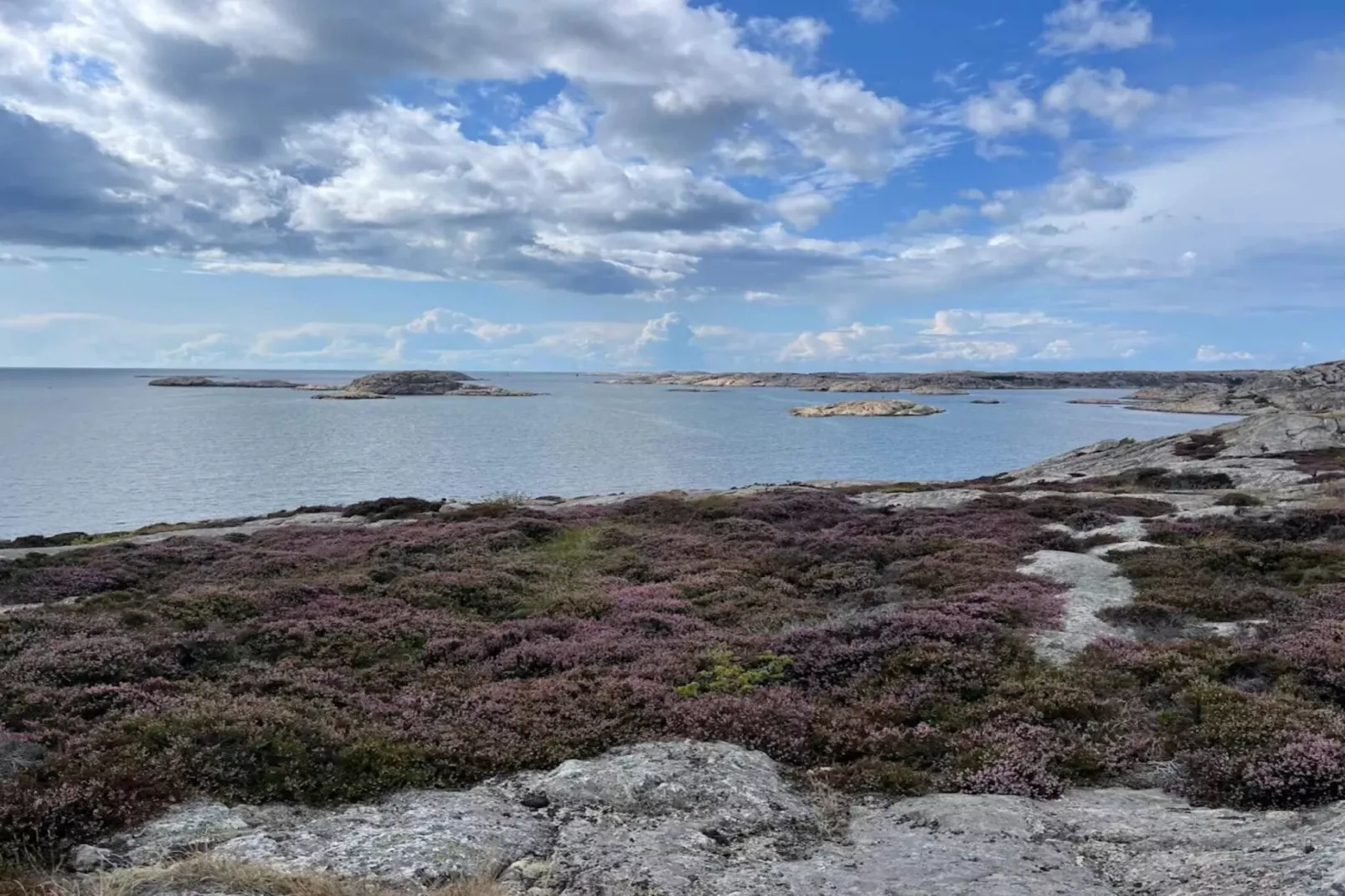 5 persoons vakantie huis in GREBBESTAD-Waterzicht