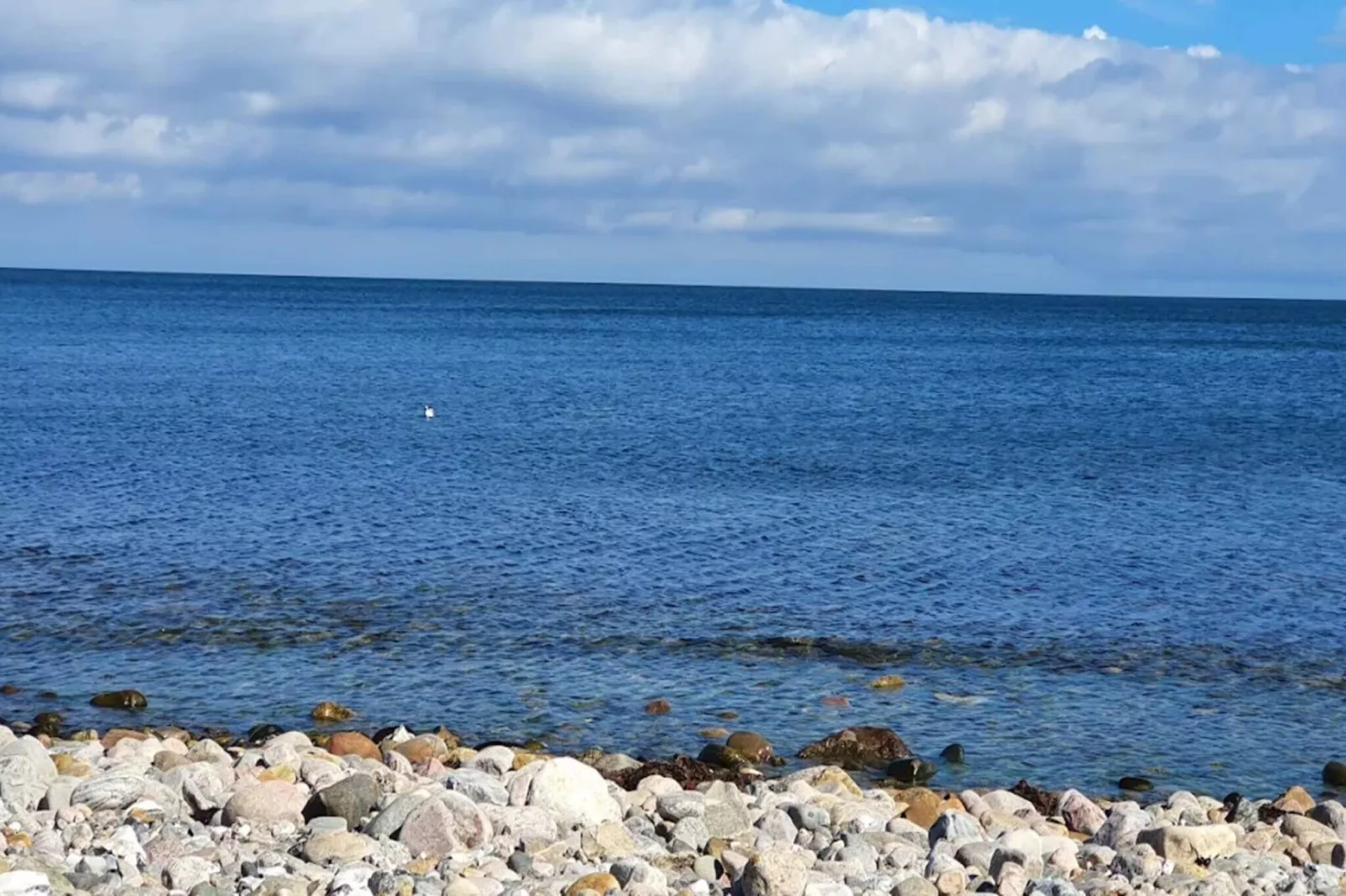 8 persoons vakantie huis in Sjællands Odde-Waterzicht