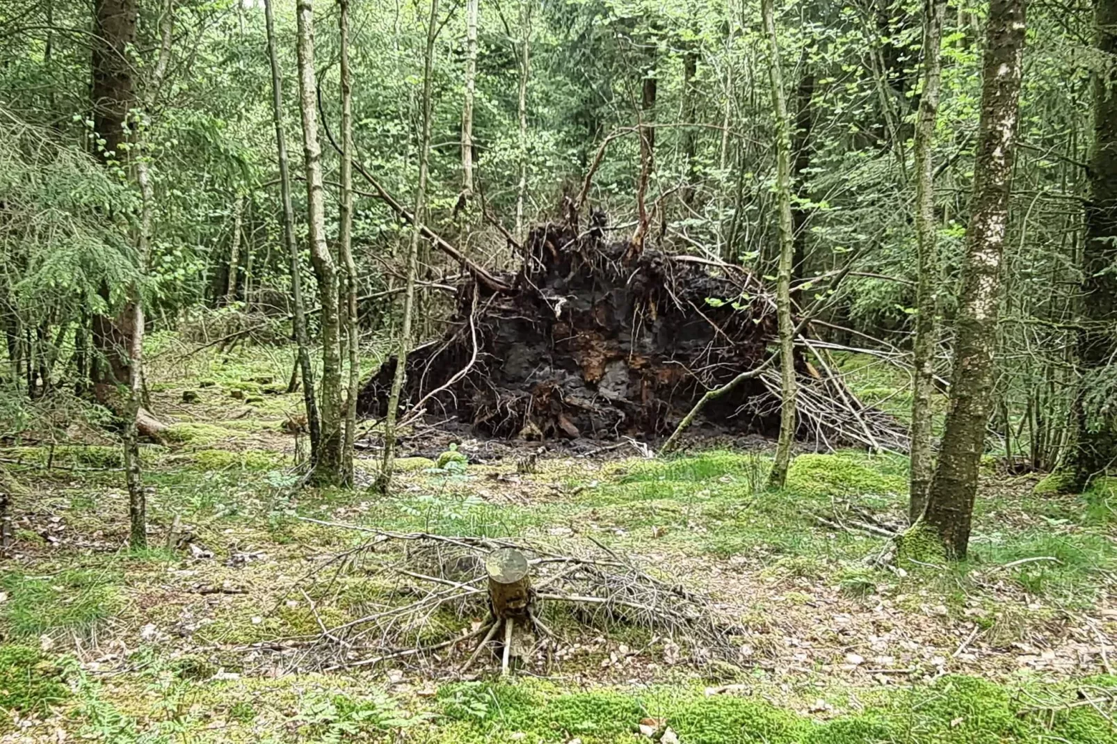 Lichte Cottage-oase in Silkeborg-By Traum-Niet-getagd