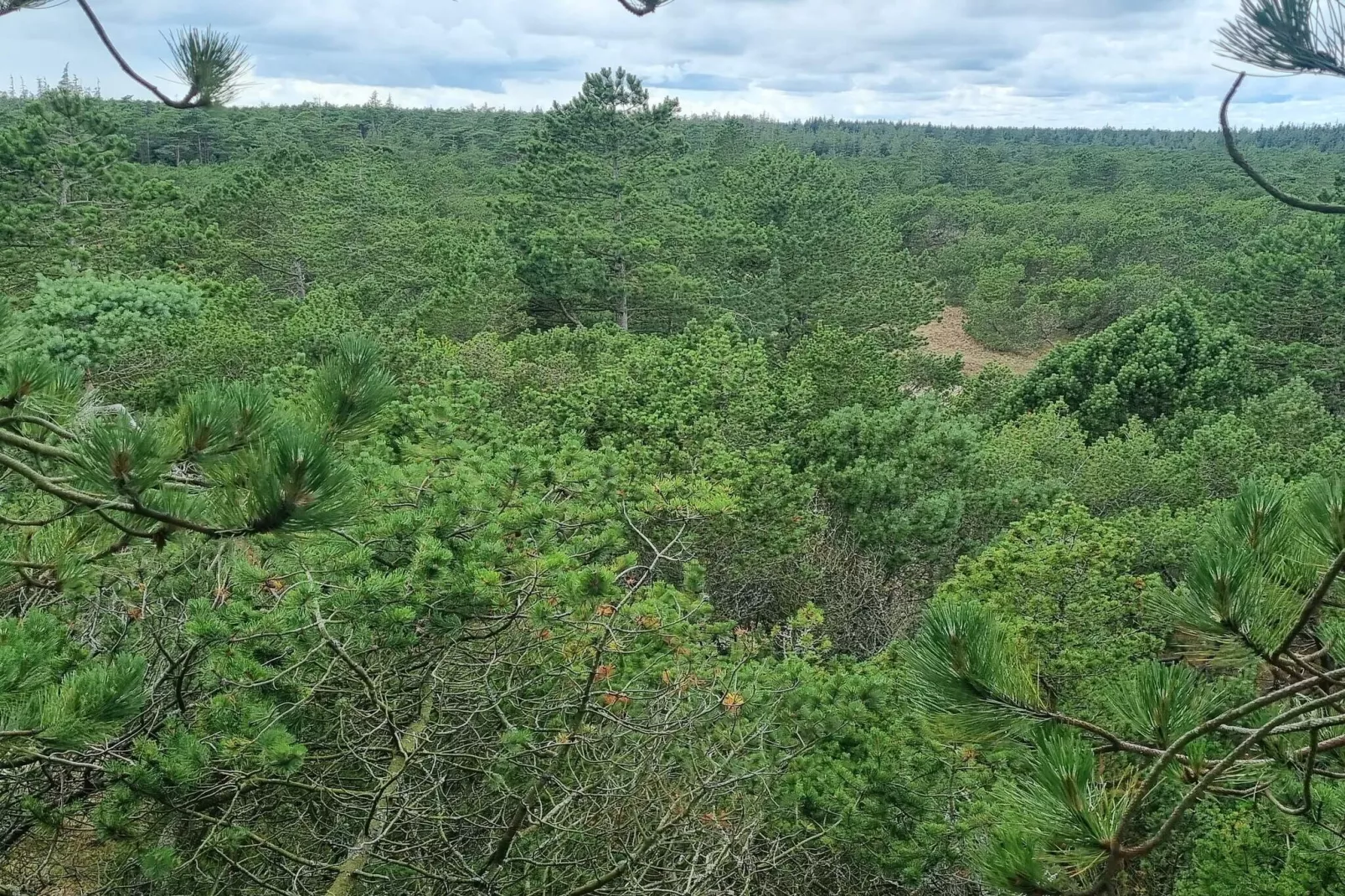 4 persoons vakantie huis in Oksbøl-Niet-getagd