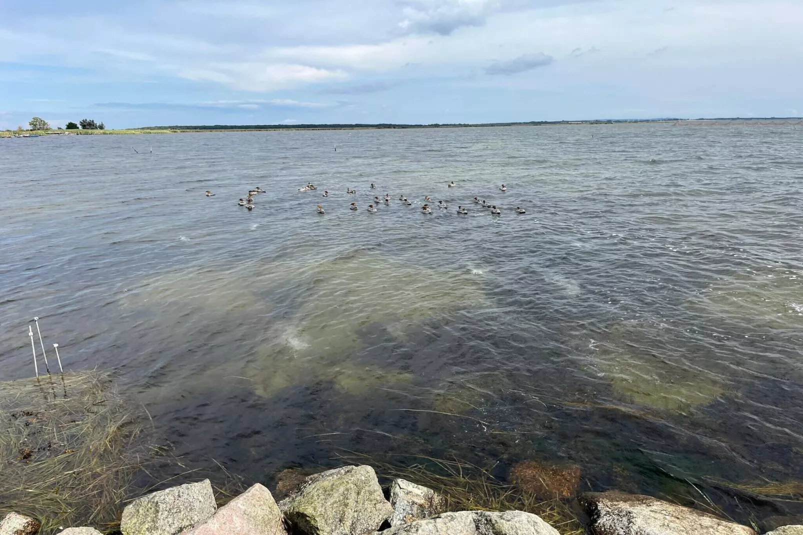 10 persoons vakantie huis in Stege-Waterzicht