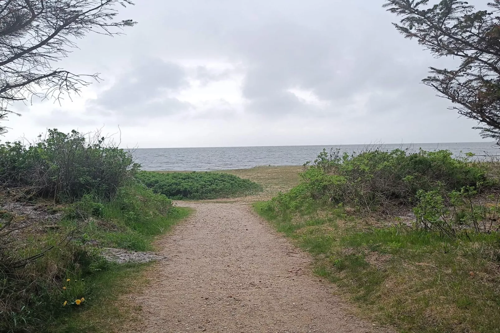 8 persoons vakantie huis in Tarm-Waterzicht