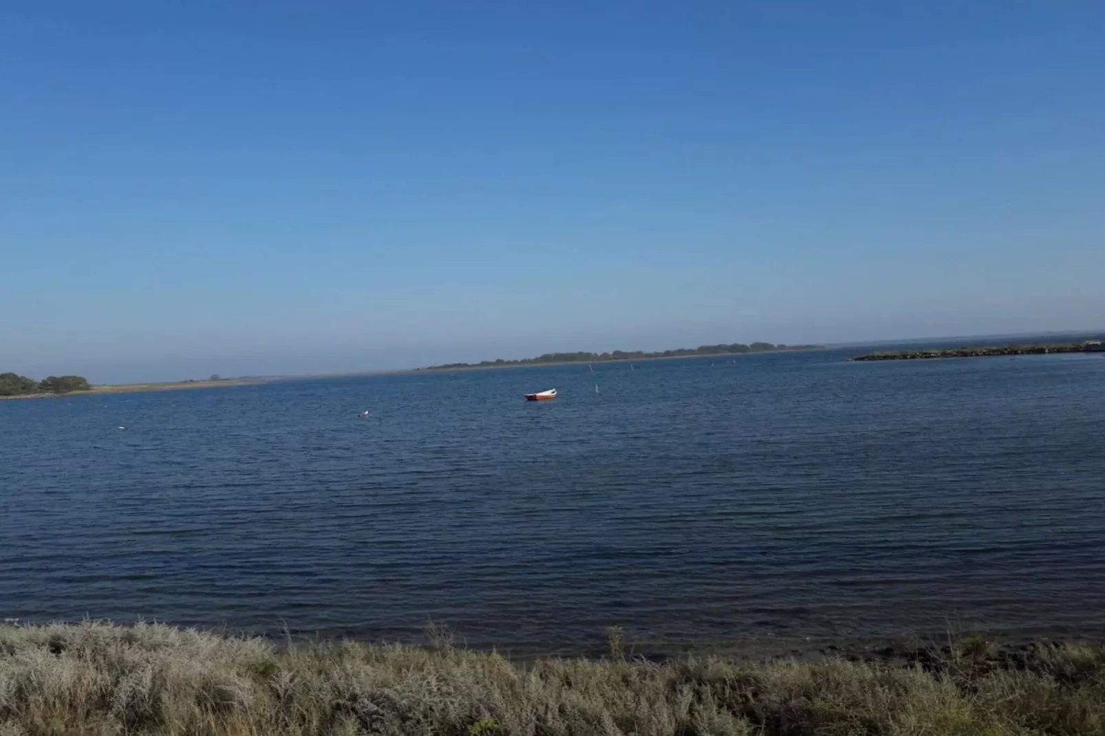 8 persoons vakantie huis in Otterup-Waterzicht