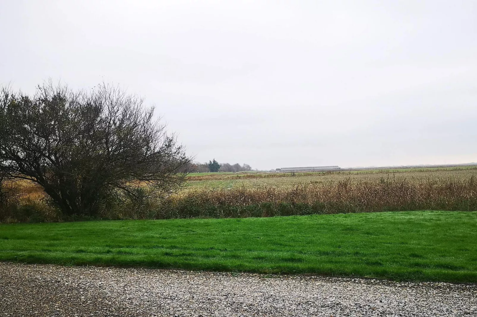 5 persoons vakantie huis in Højer-By Traum-Niet-getagd