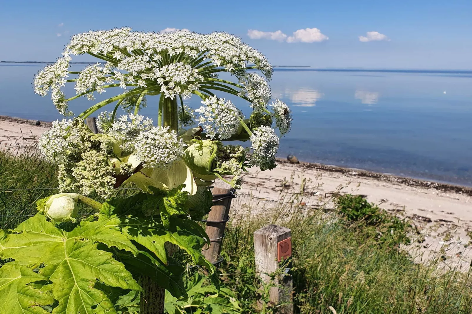 4 persoons vakantie huis in Nykøbing M-By Traum-Waterzicht