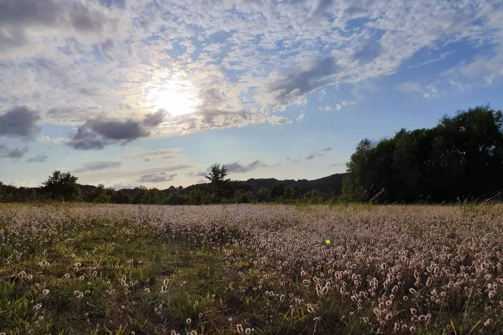 4 persoons vakantie huis in Haderslev-By Traum-Niet-getagd