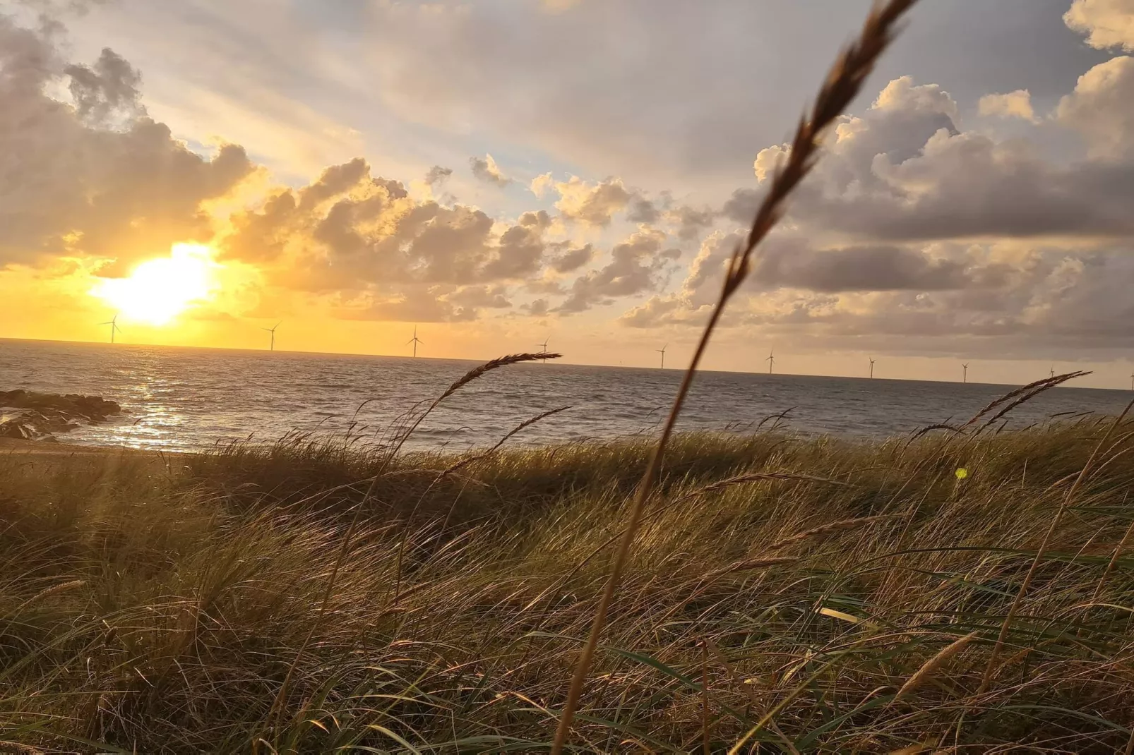 4 persoons vakantie huis in Lemvig-By Traum-Waterzicht