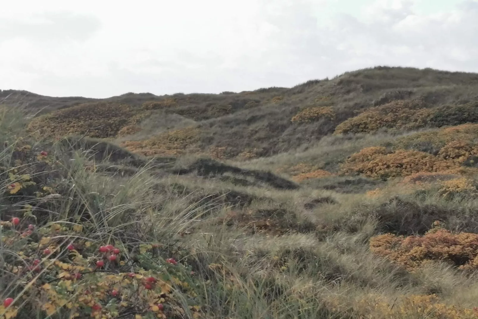 7 persoons vakantie huis in Henne-By Traum-Niet-getagd