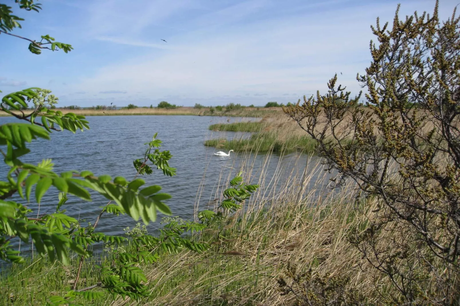 7 persoons vakantie huis in Stege-By Traum-Waterzicht