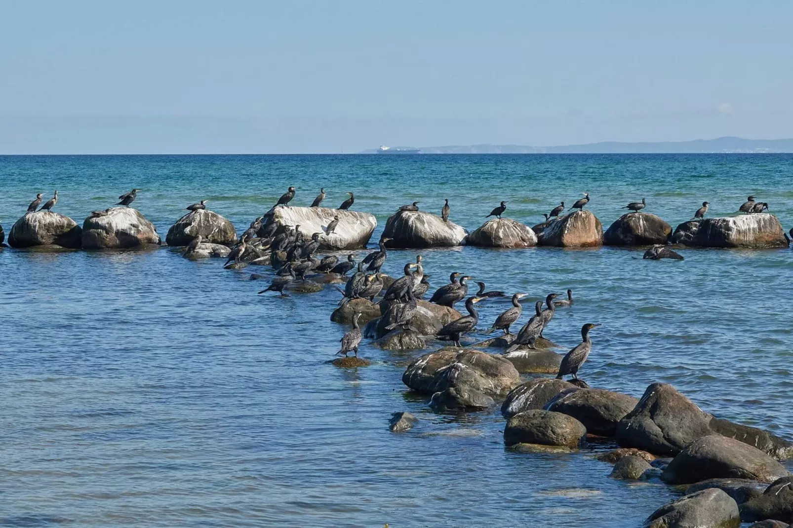6 persoons vakantie huis in Dronningmølle-By Traum-Waterzicht