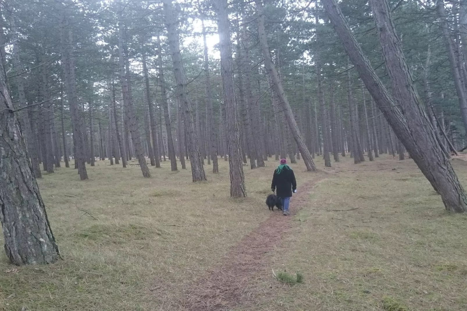 Kust ontsnapping in Praesto -- By Traum Ferienwohnungen-Niet-getagd