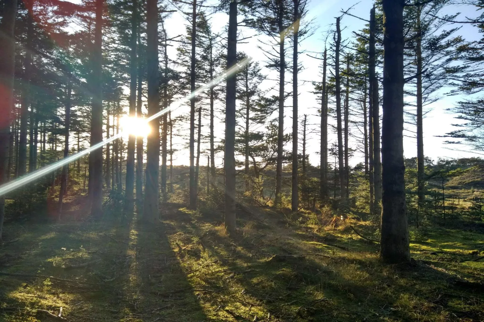 Gezellig strandverblijf -- By Traum Ferienwohnungen-Niet-getagd