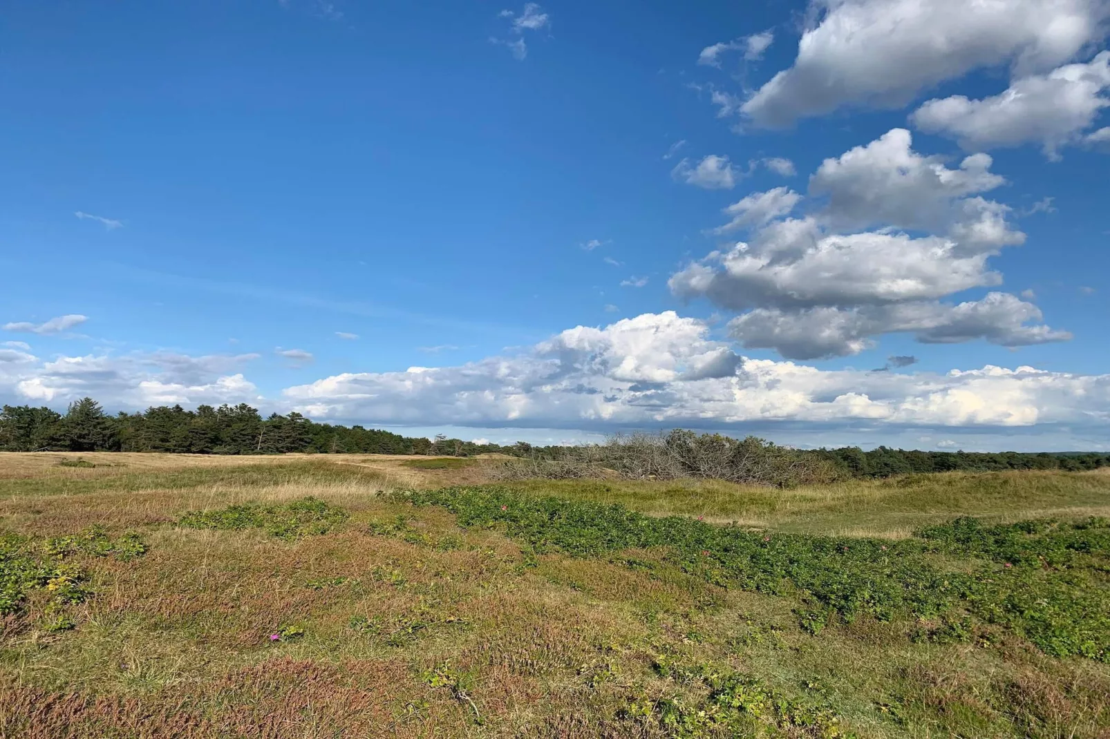 Luxe retraite met zwembad -- By Traum Ferienwohnungen-Niet-getagd