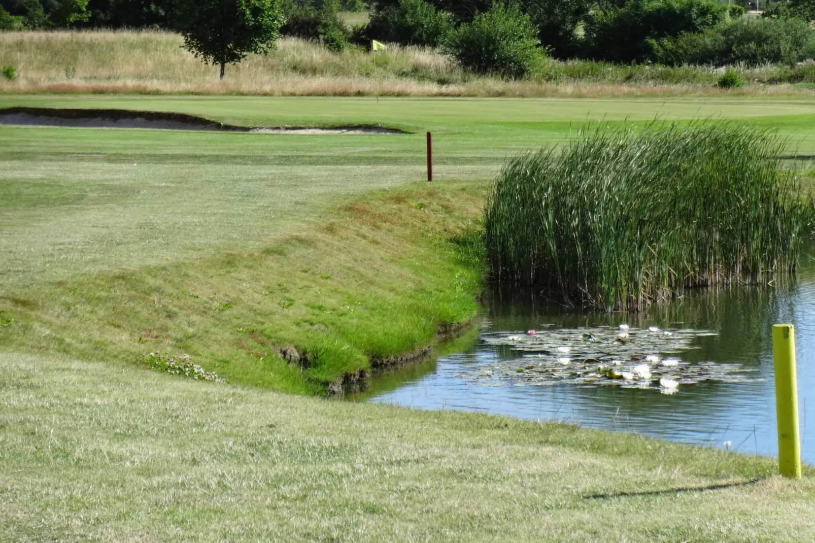 Rustig toevluchtsoord in Mommark -- By Traum Ferienwohnungen-Waterzicht