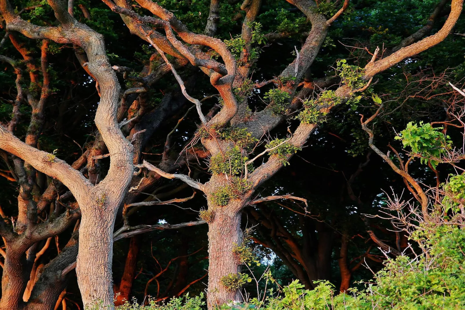 Luxe zwembadvilla in Lohals -- By Traum Ferienwohnungen-Niet-getagd