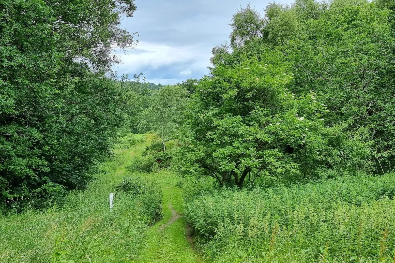 8 persoons vakantie huis in Gjern-By Traum-Niet-getagd