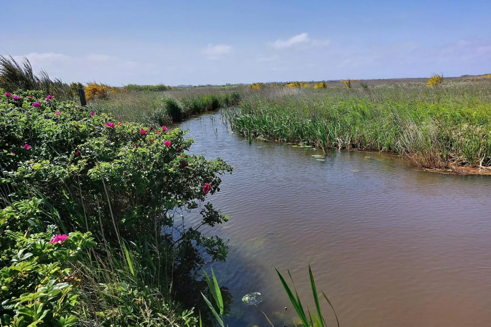 6 persoons vakantie huis in Tarm-By Traum-Waterzicht