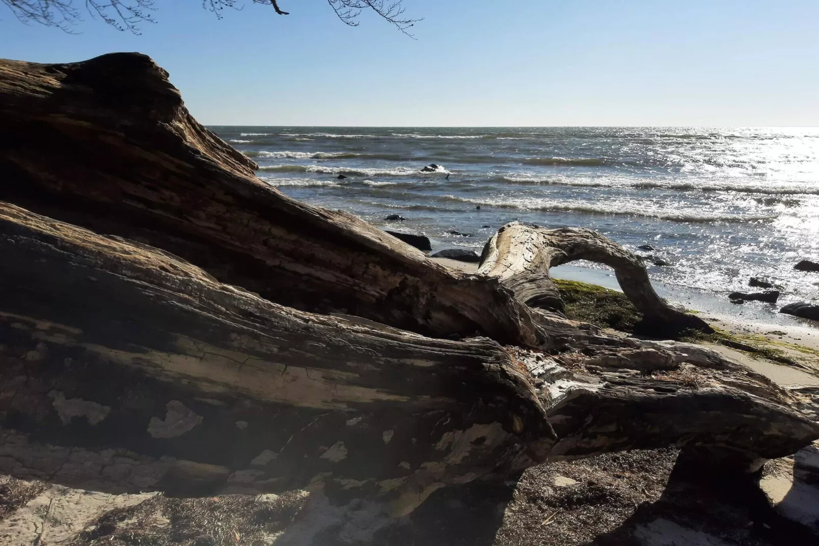 4 persoons vakantie huis in Faxe Ladeplads-Waterzicht