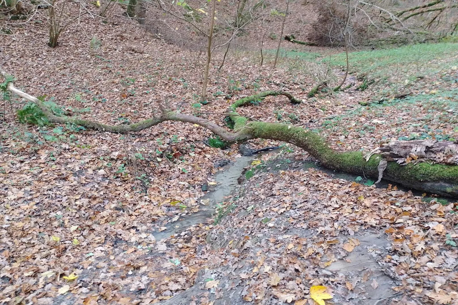 8 persoons vakantie huis in Brovst-By Traum-Niet-getagd