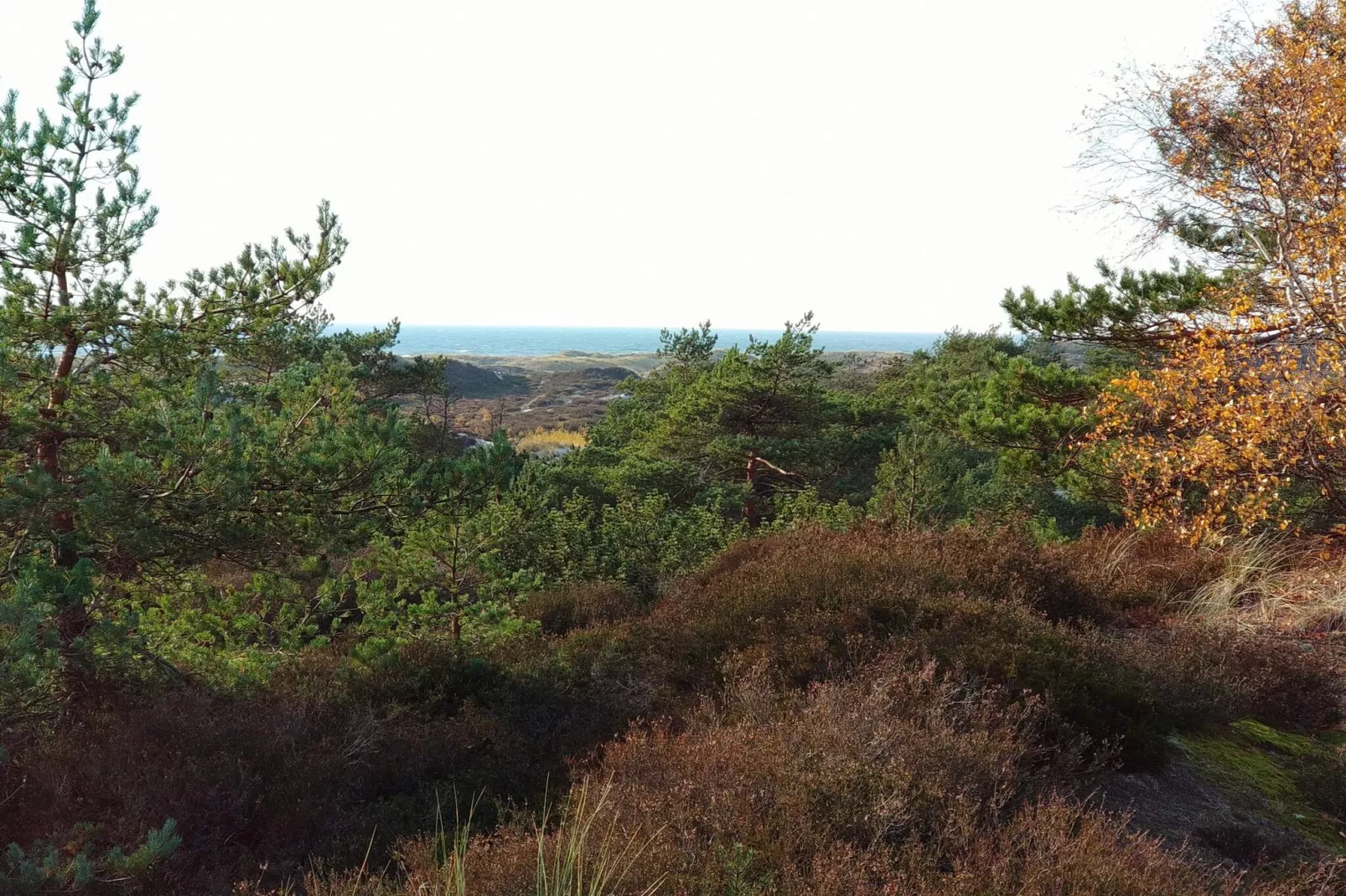 Modern huis nabij strand -- By Traum Ferienwohnungen-Niet-getagd