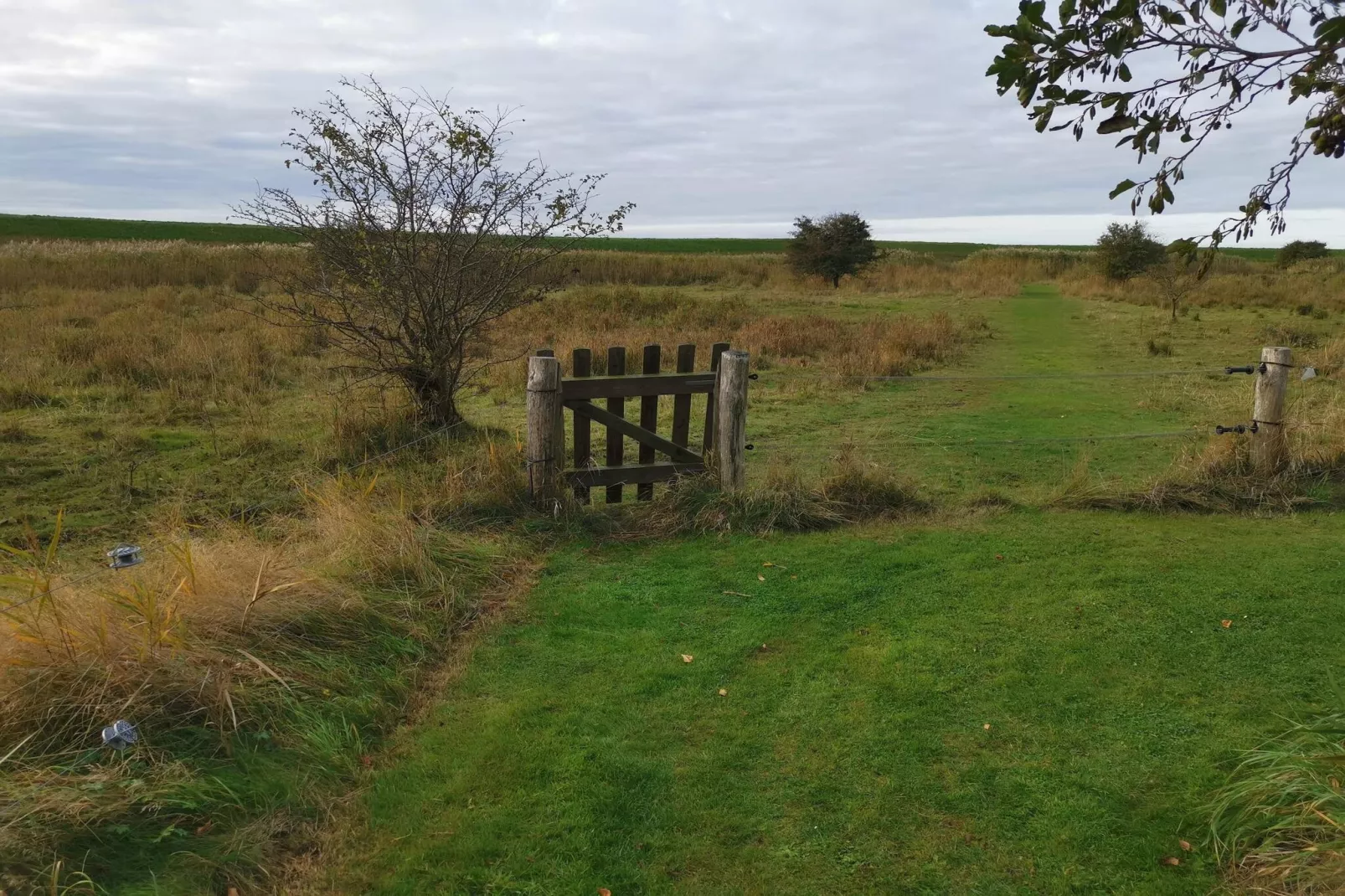 6 persoons vakantie huis in Dannemare-By Traum-Niet-getagd