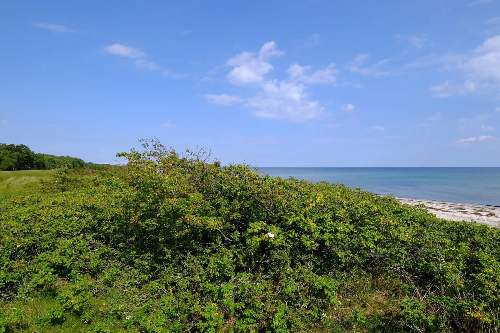 6 persoons vakantie huis in Gedser-By Traum-Waterzicht