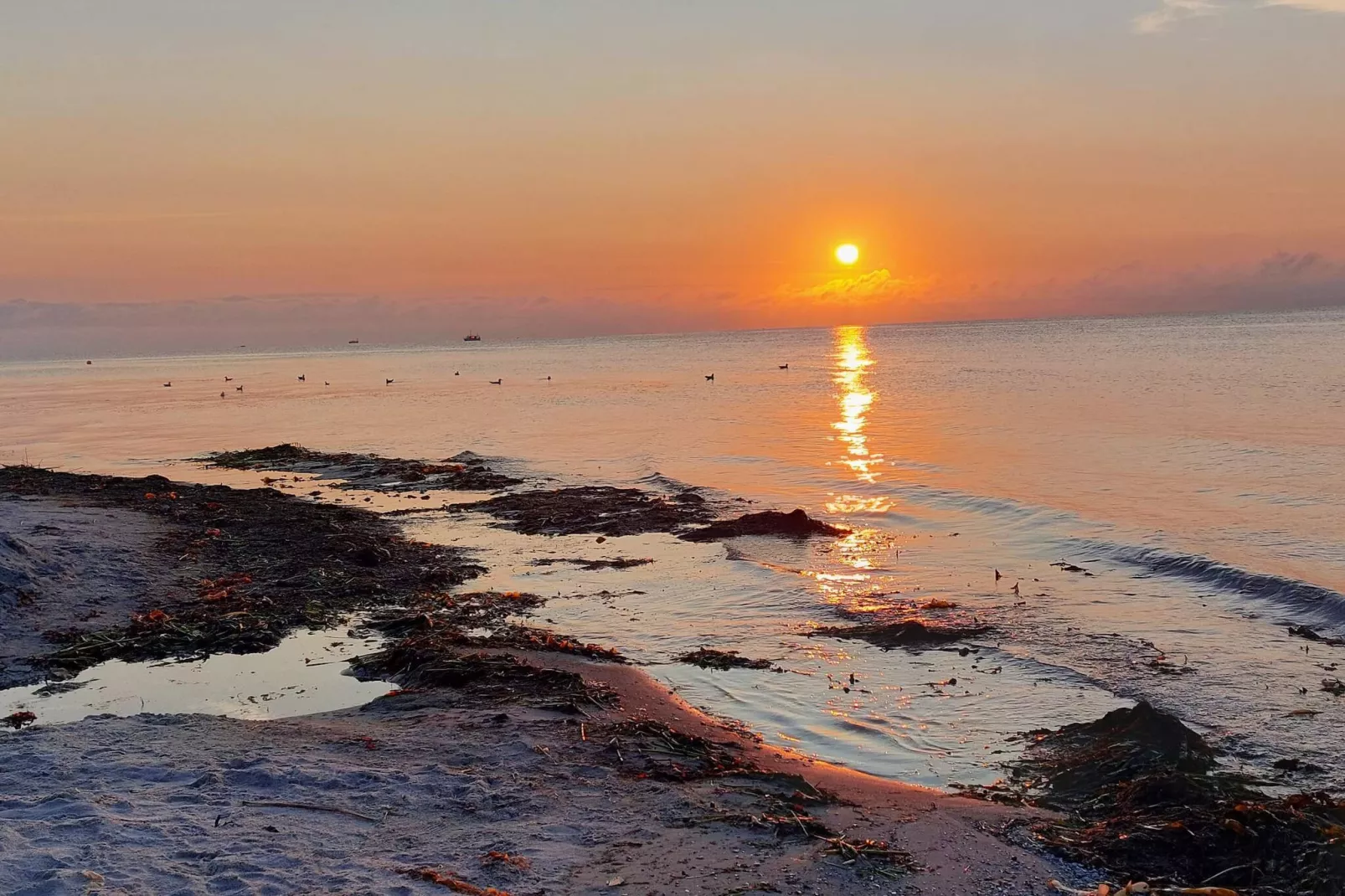 4 persoons vakantie huis in Grenaa-By Traum-Waterzicht