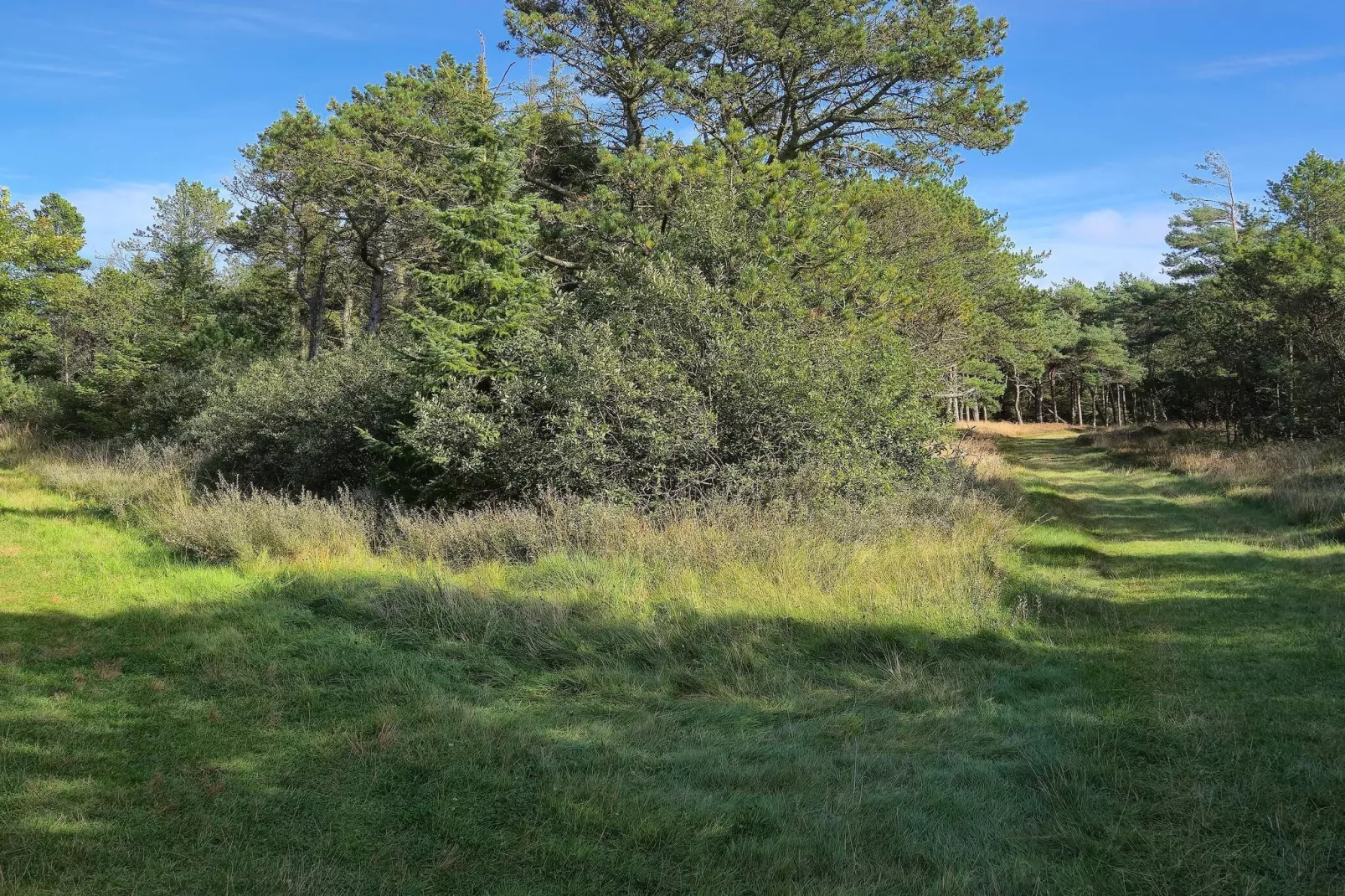 4 persoons vakantie huis in Rømø-By Traum-Niet-getagd