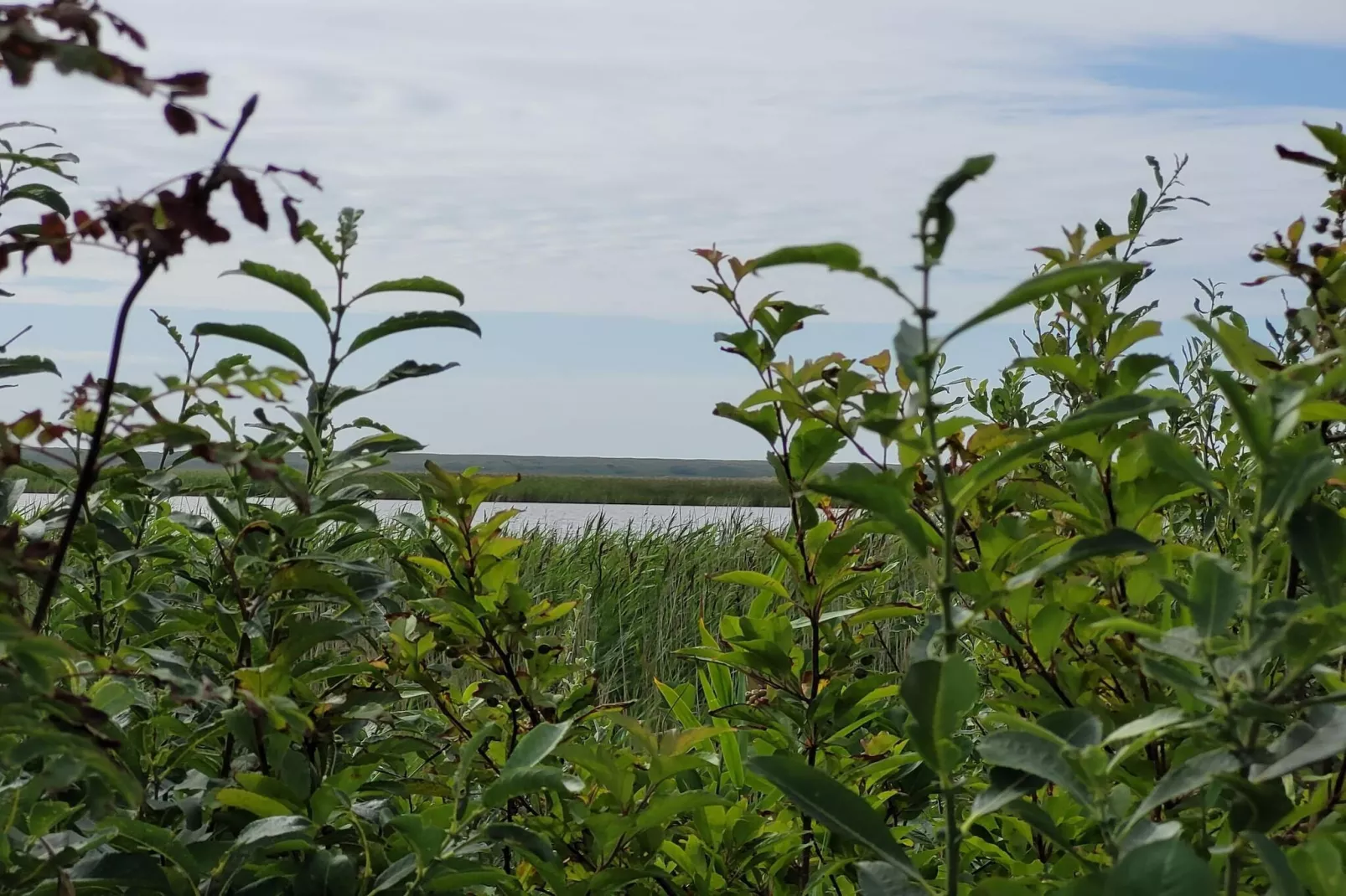 6 persoons vakantie huis in Ulfborg-By Traum-Waterzicht