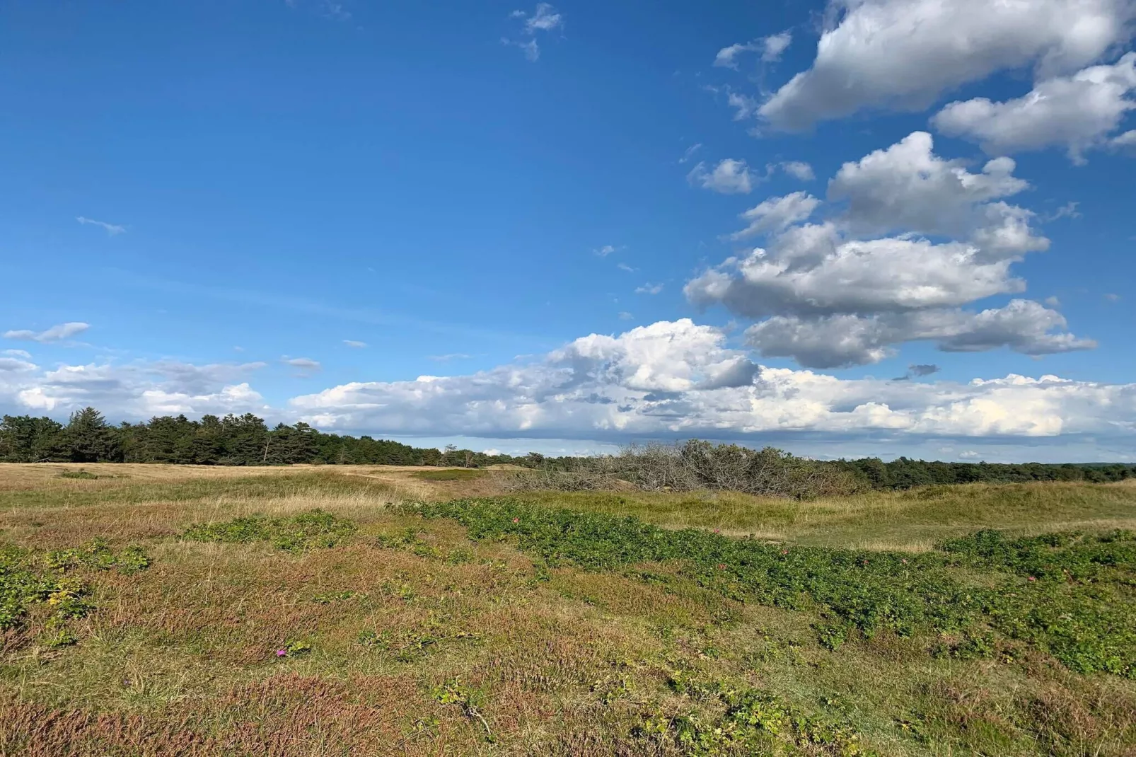 Luxe retraite met zwembad -- By Traum Ferienwohnungen-Niet-getagd