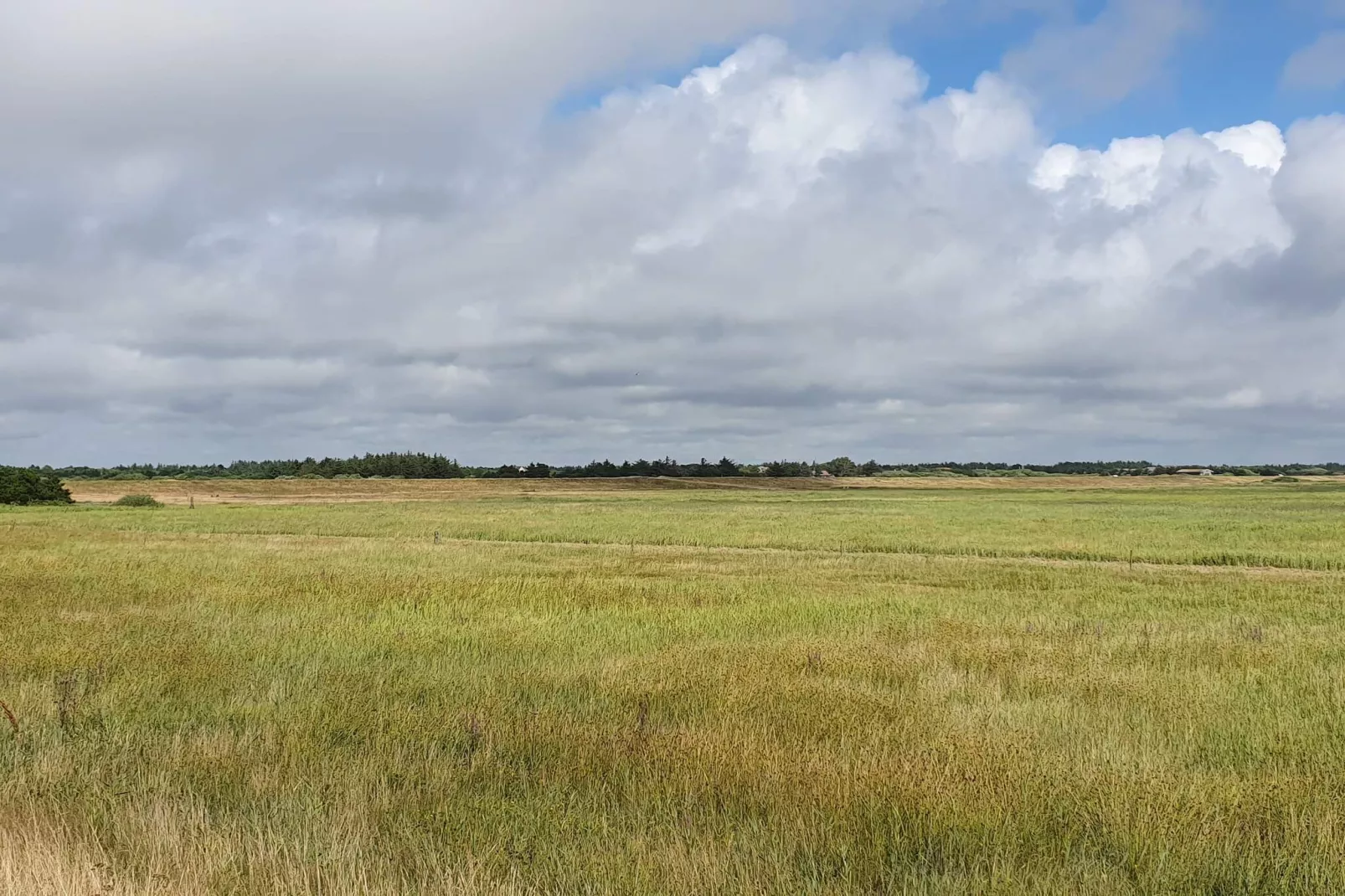 6 persoons vakantie huis in Blåvand-By Traum-Niet-getagd