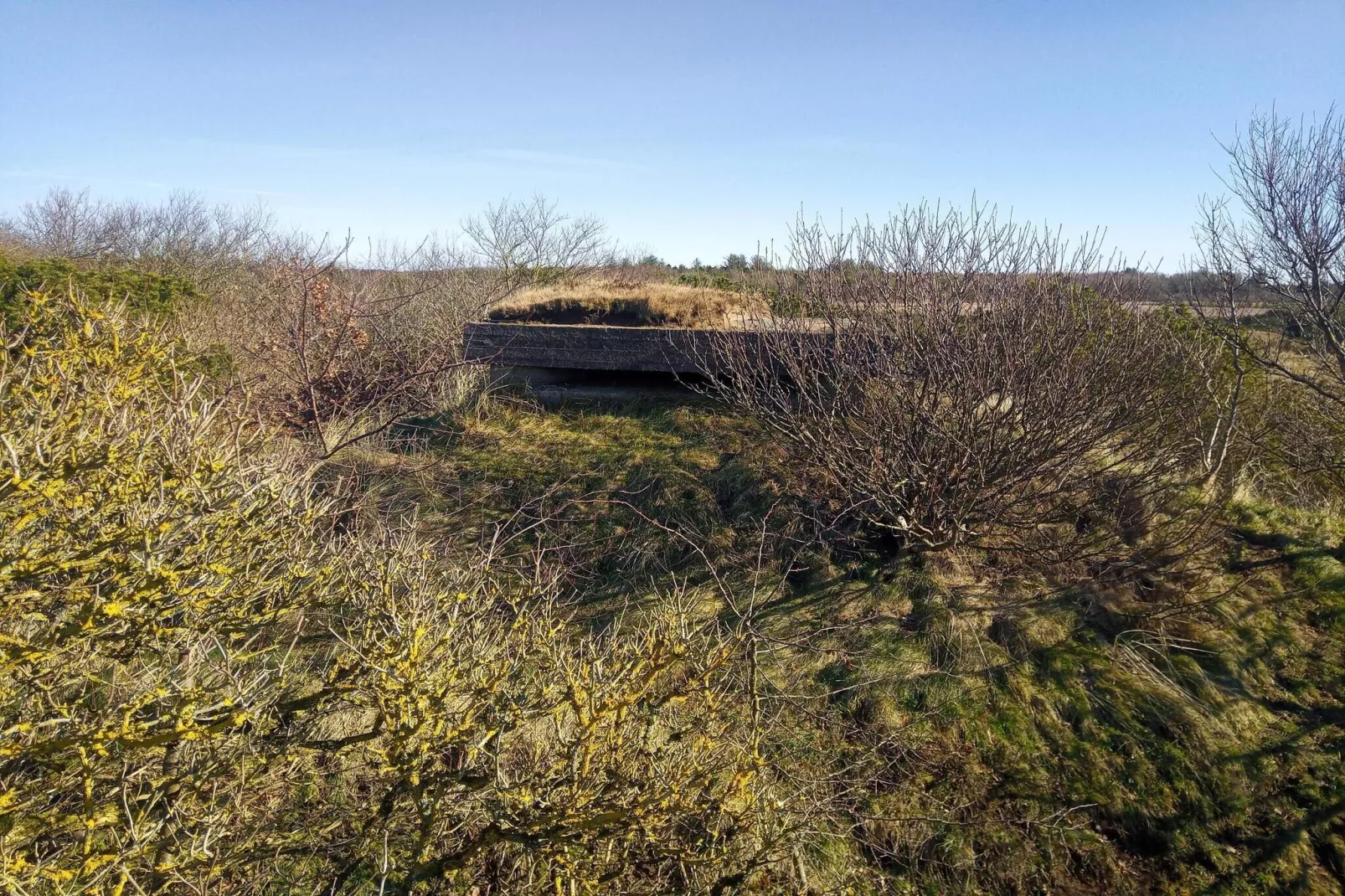 4 persoons vakantie huis in Skjern-By Traum-Niet-getagd