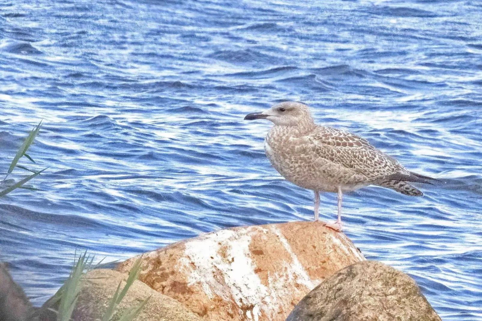 Afgelegen oase bij fjord -- By Traum Ferienwohnungen-Waterzicht