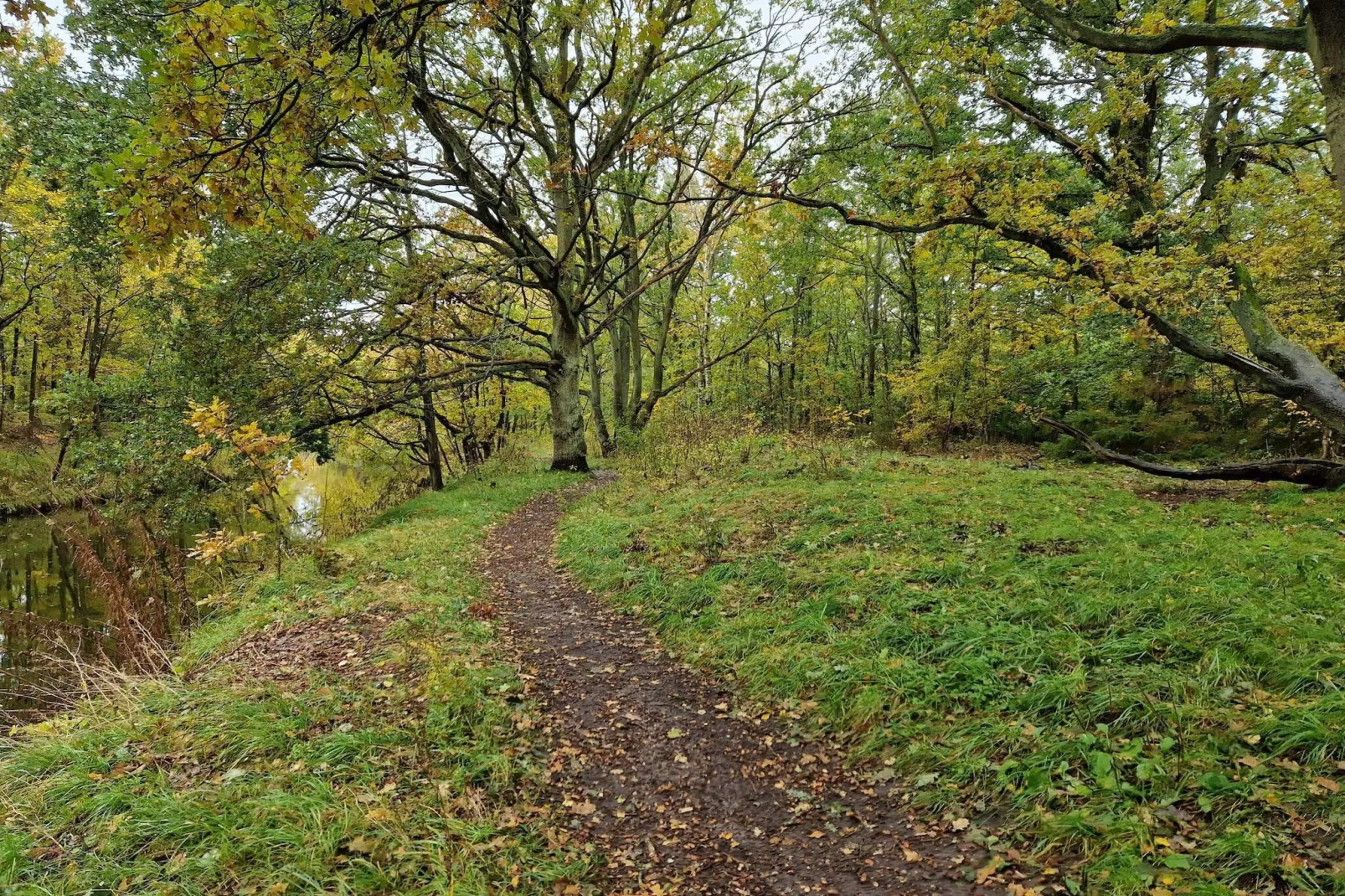 6 persoons vakantie huis in Store Fuglede-By Traum-Niet-getagd