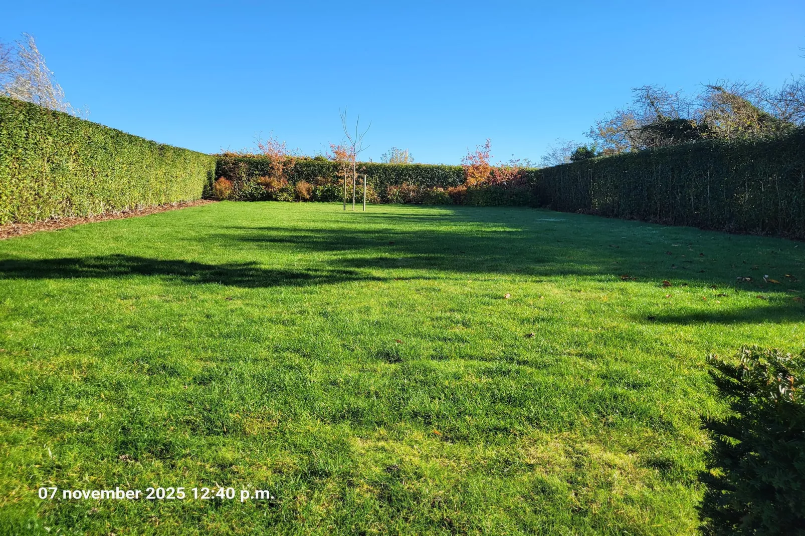 Maison Au Trieu-Tuinen zomer