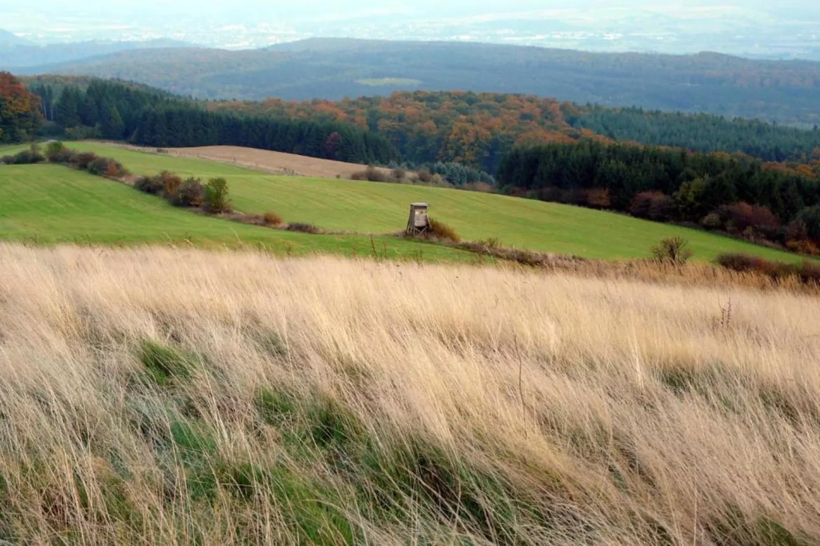 Weserbergland - Bad Pyrmont-Gebieden zomer 20km