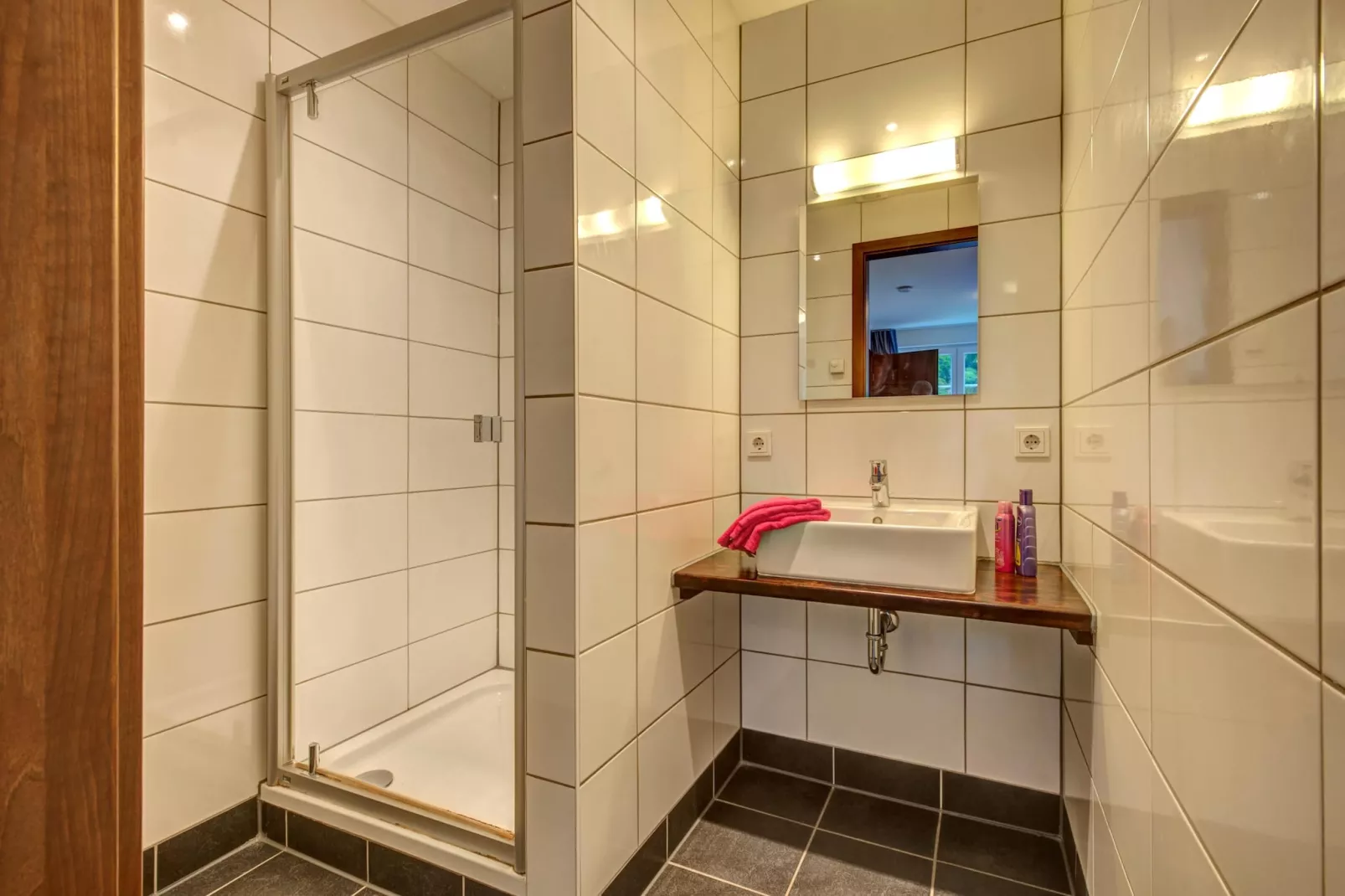 Eifelpark Kronenburger See 8-Badkamer