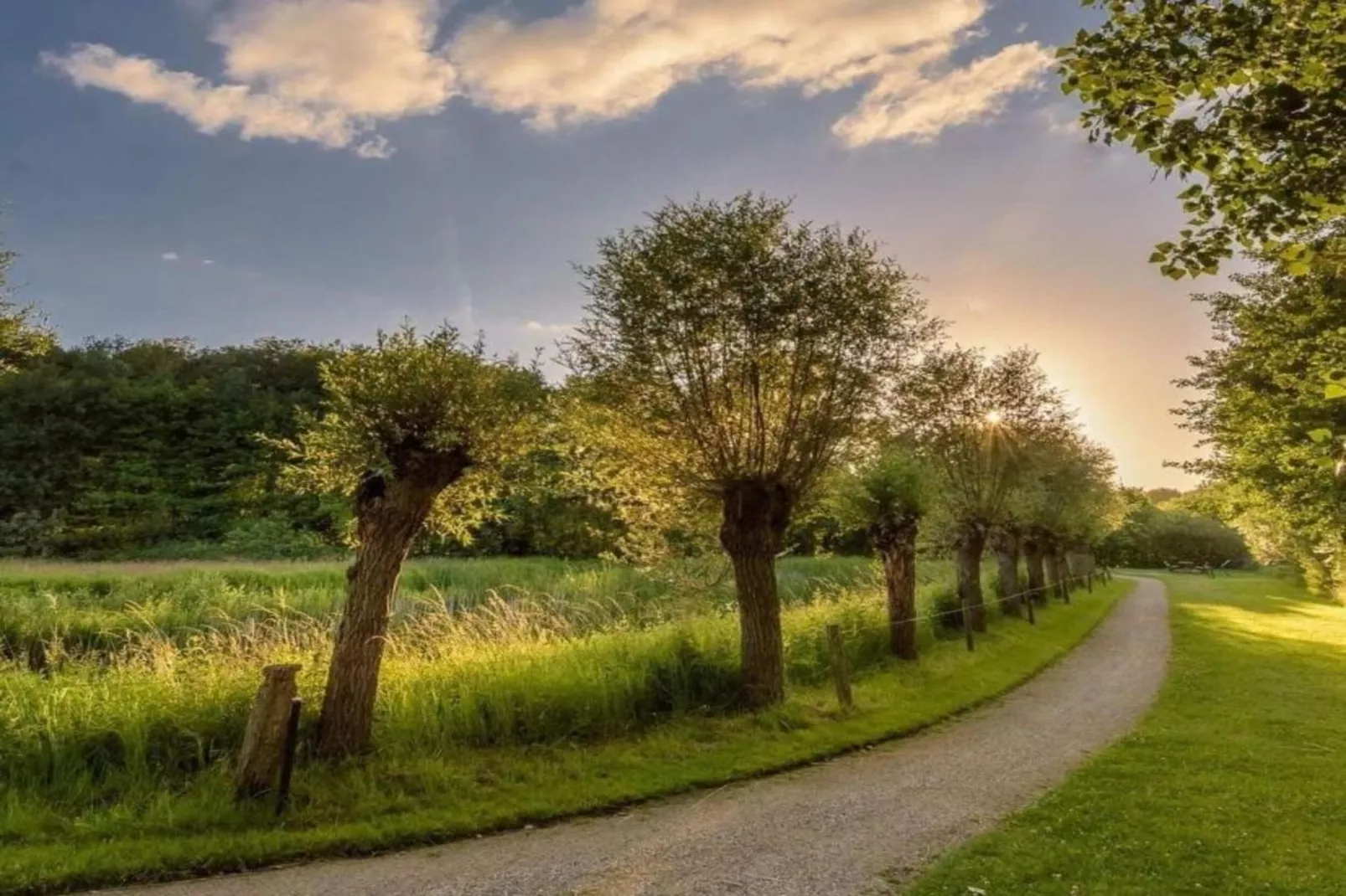 De Mattelier-Gebieden zomer 20km