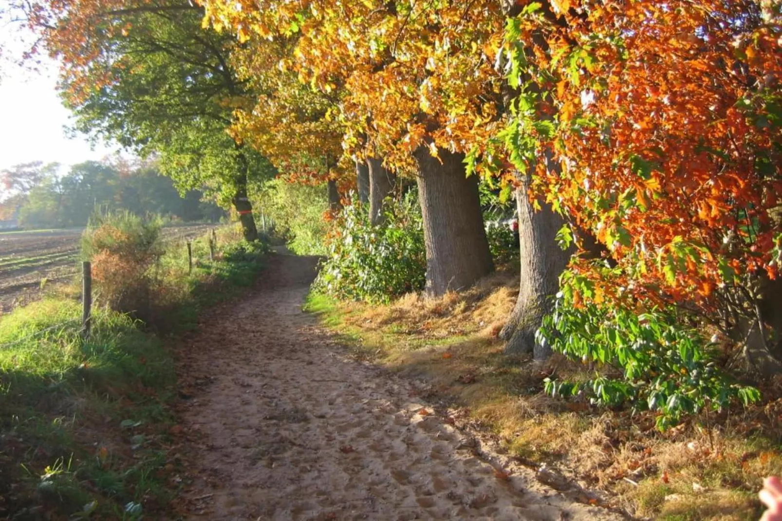 Vakantiepark De Lochemse Berg 1-Gebieden zomer 20km