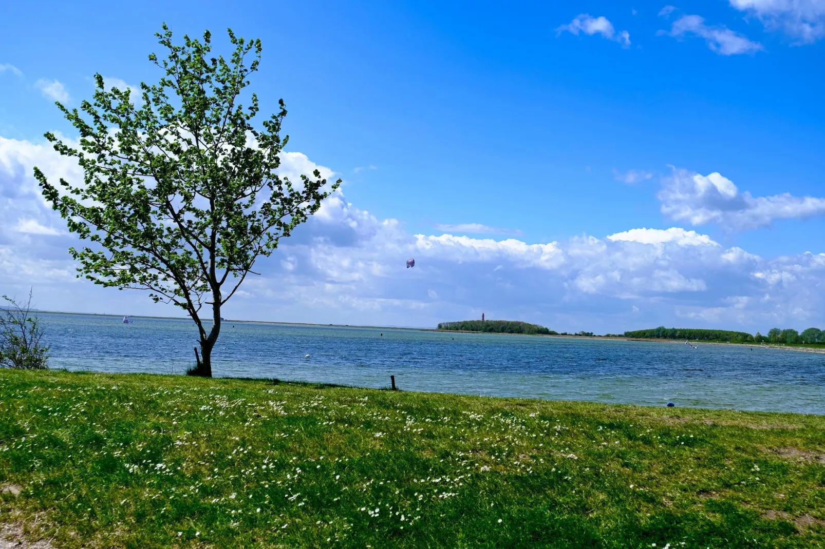 FeWo EG E-37-Gebieden zomer 1km