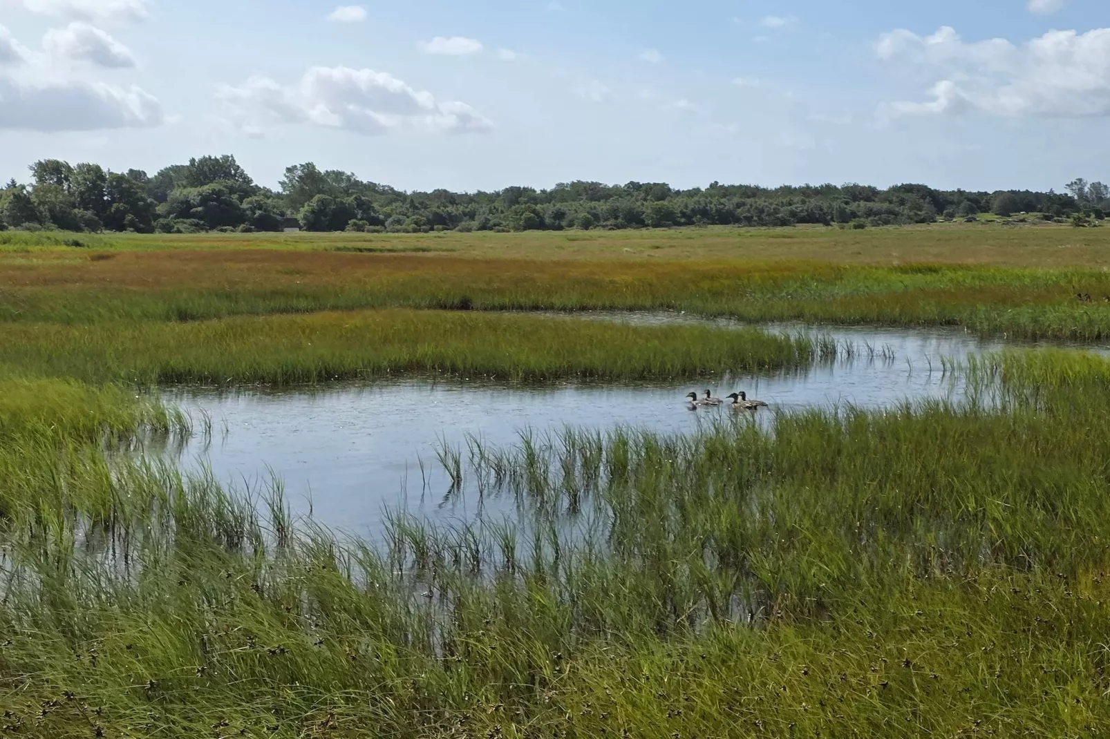 5 persoons vakantie huis in Føllenslev-By Traum-Waterzicht