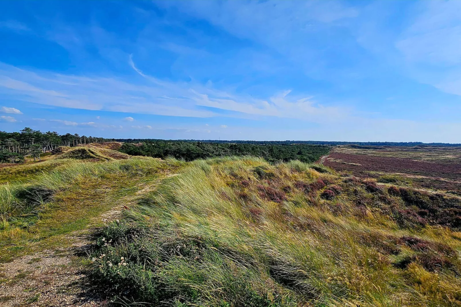 Luxe retraite met zwembad -- By Traum Ferienwohnungen-Buitenlucht